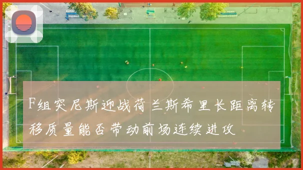 F组突尼斯迎战荷兰斯希里长距离转移质量能否带动前场连续进攻