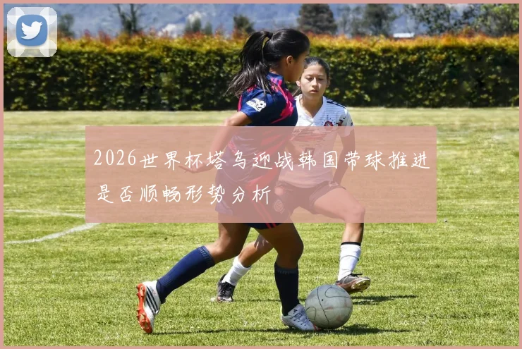 2026世界杯塔乌迎战韩国带球推进是否顺畅形势分析